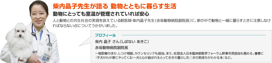 柴内晶子先生が語る 動物とともに暮らす生活：動物にとっても室温が管理されていれば安心
